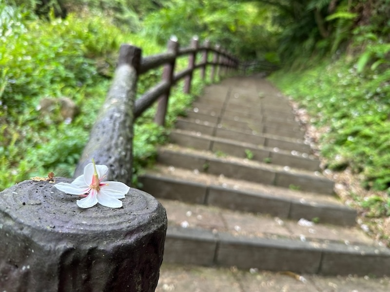 泰安瀑布_階梯步道