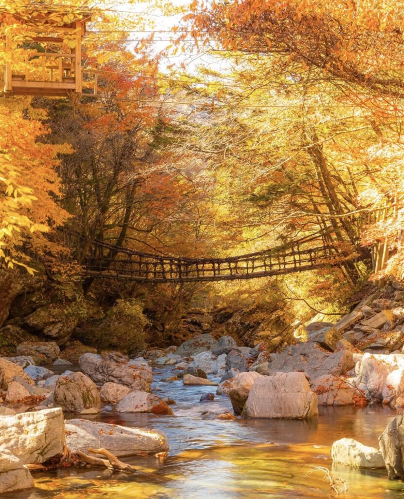 東祖谷葛藤橋